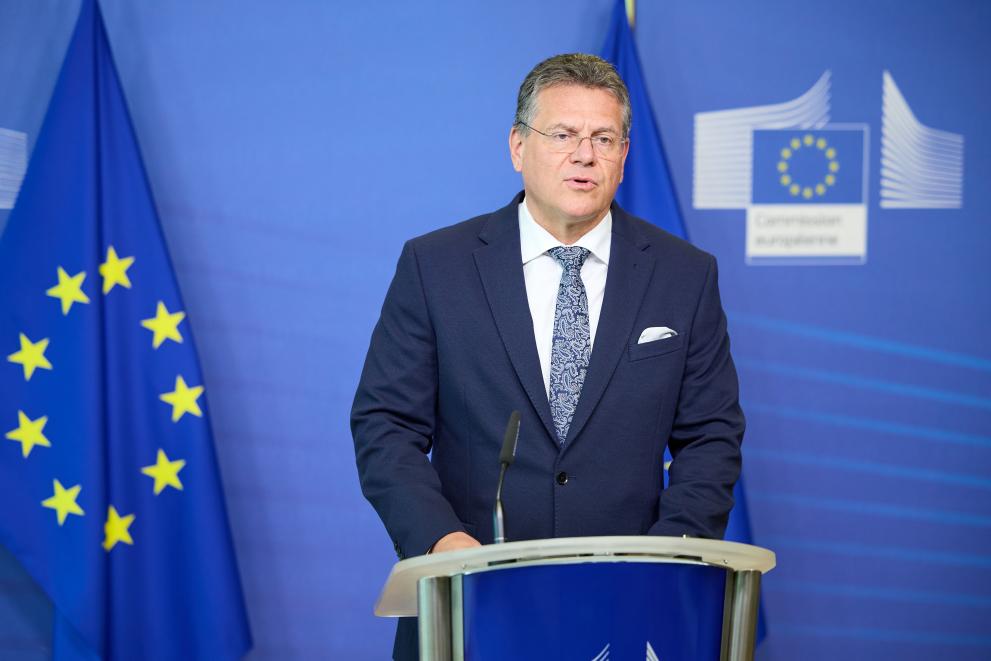Press briefing by Maroš Šefčovič, Vice-President of the European Commission, on the 1st joint EU gas purchasing tender