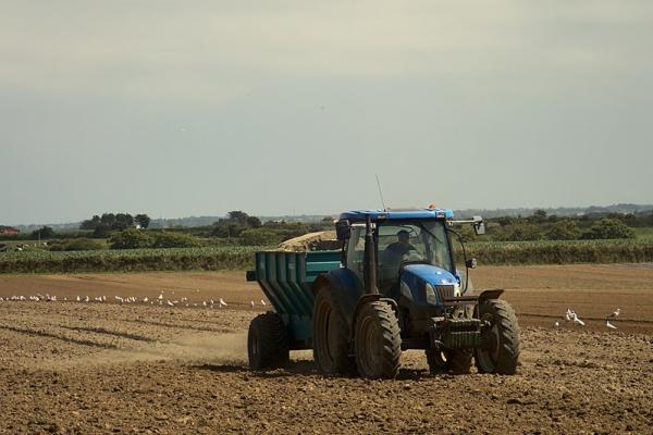 Traktor auf Feld